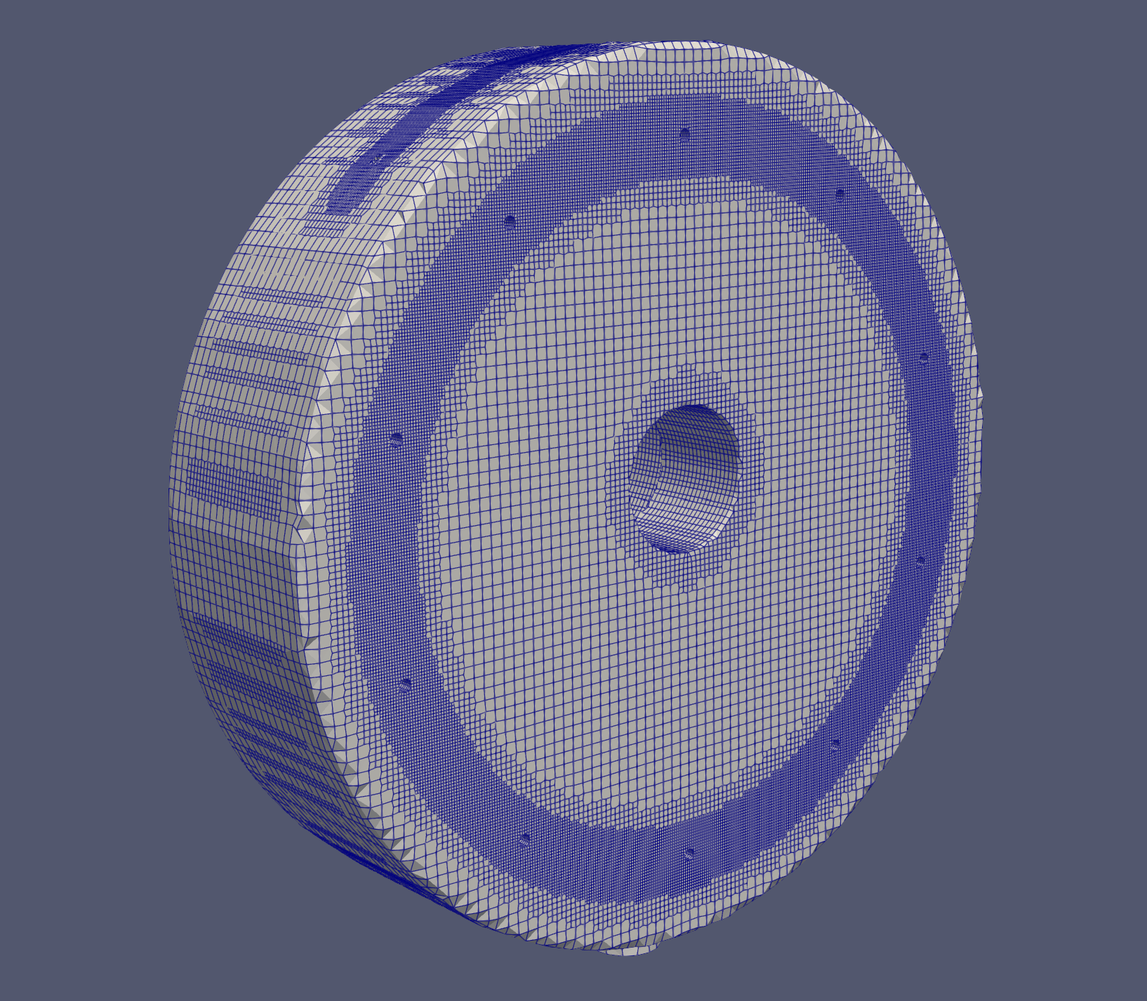 Overall Mesh - End Winding